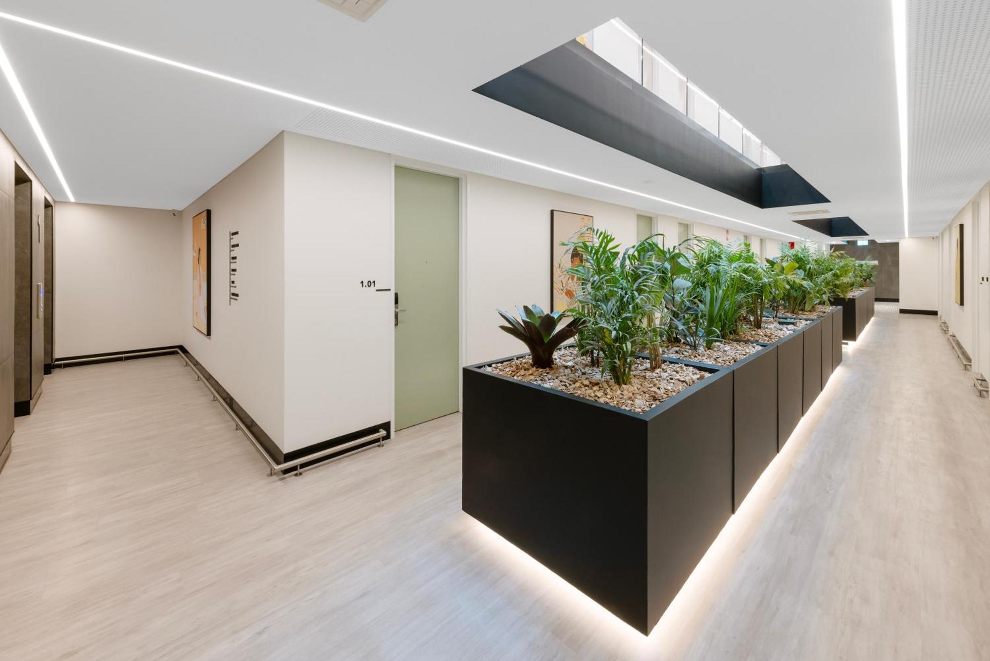 Haberfield Hotel Сидней Экстерьер фото